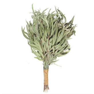 Rento Eucalyptus Sauna Whisk