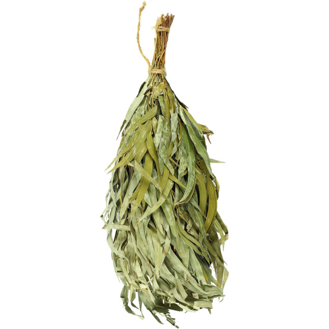 Rento Eucalyptus Sauna Whisk