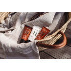 Rento Arctic Pine Shampoo 50 ml