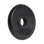 TCZ20 Black Cast Iron Plate 1.25 - 20 KG HMS