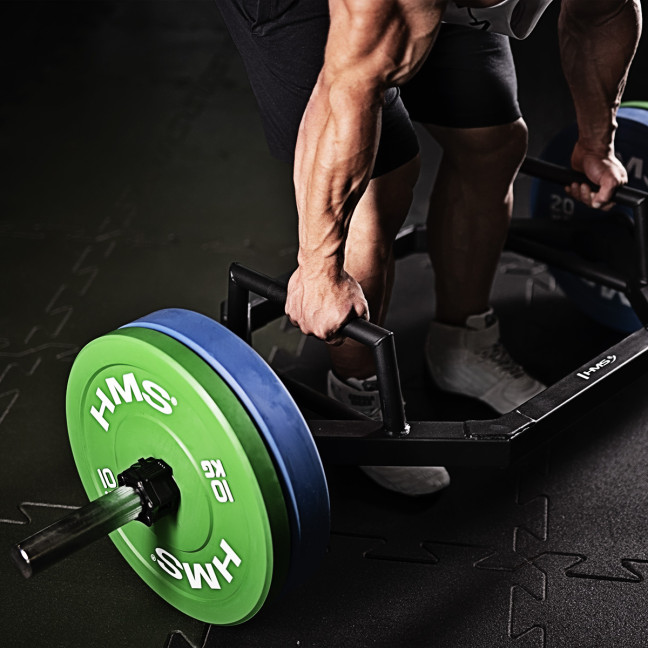 Bumper Olympic Plate 5 - 25 KG