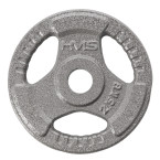 HammerTone 1.25 - 20 KG HMS Plate