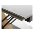 GENESIS table White/Oak160(220)X90