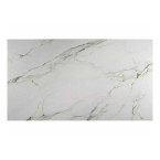 GENESIS table White/Oak160(220)X90