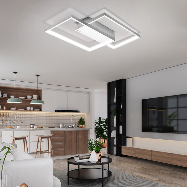 Decorative LED Ceiling Lamp Variable Color Light Color White Modern 48W + Pilot