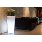 SOCRATES Artisan Oak FI100 table