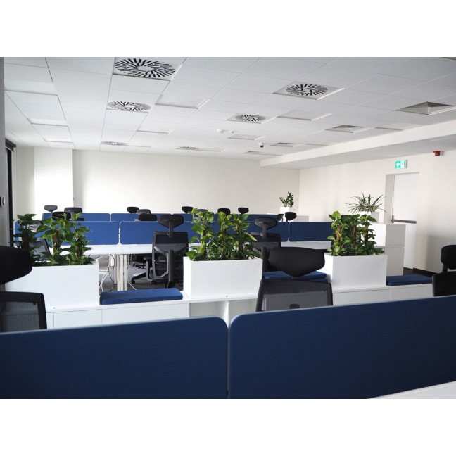 POPRAD BED 160X200 HONEY BROWN