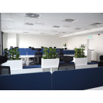 POPRAD BED 160X200 HONEY BROWN