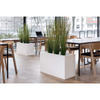 SANTANA VELVET bed 160x200