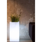 MIRAGE VELVET bed 160X200