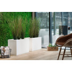 SANTANA VELVET bed 160x200