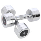 Chrome Dumbbells (2 pcs.) HMS