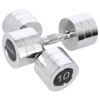 Chrome Dumbbells (2 pcs.) HMS