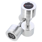 Chrome Dumbbells (2 pcs.) HMS