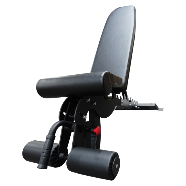 adjustable training bench