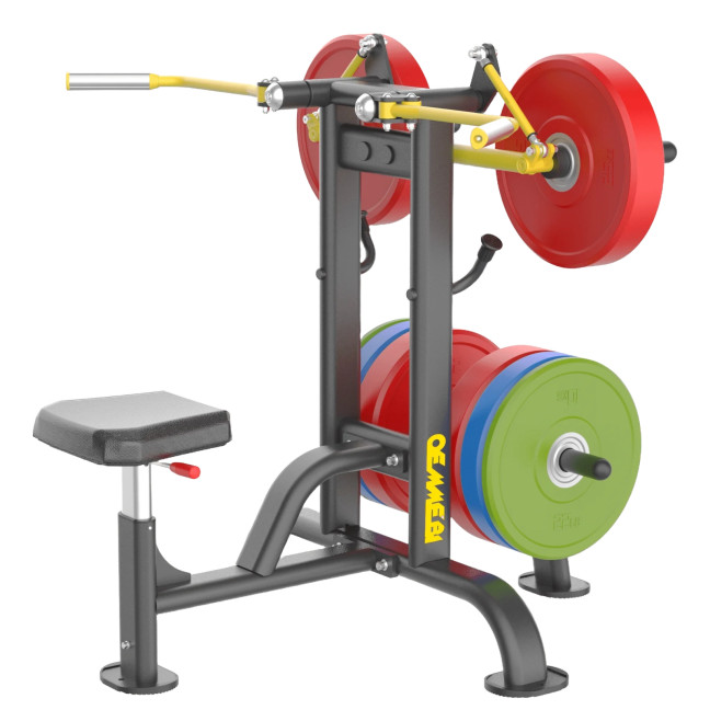 SHOULDER LATERAL RAISE machine