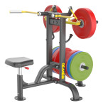 SHOULDER LATERAL RAISE machine