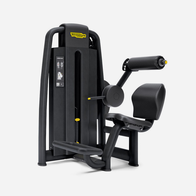 TECHNOGYM SELECTION PRO Lower Back Machine Used/Reconditioned - Perfect condition