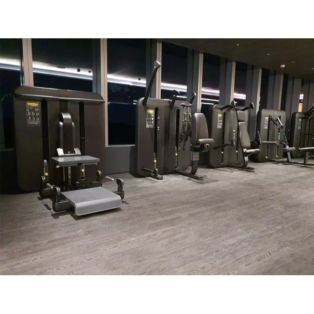 TECHNOGYM KINESIS Back Machine (Low Pull Station) Used/Reconditioned - Perfect condition