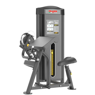 BICEPS/TRICEPS SITTING MACHINE