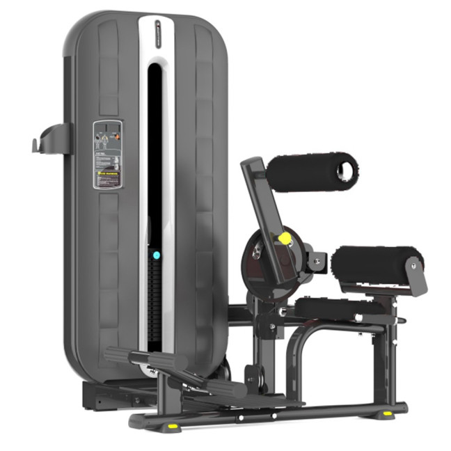 PLM-423 dual-function abdominal and back extensor machine with stack