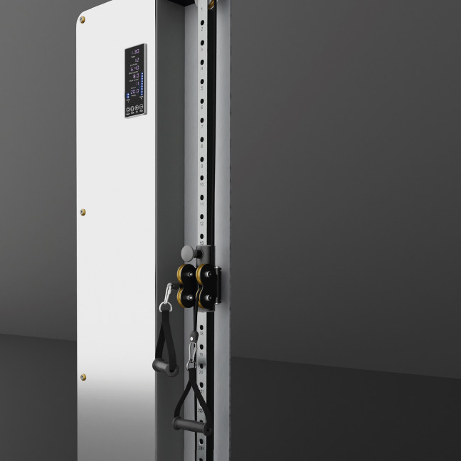 BSP301 Pneumatic Wall Training Gate Commercial Hms