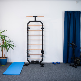 DW2708 Multifunctional Gymnastics Ladder HMS