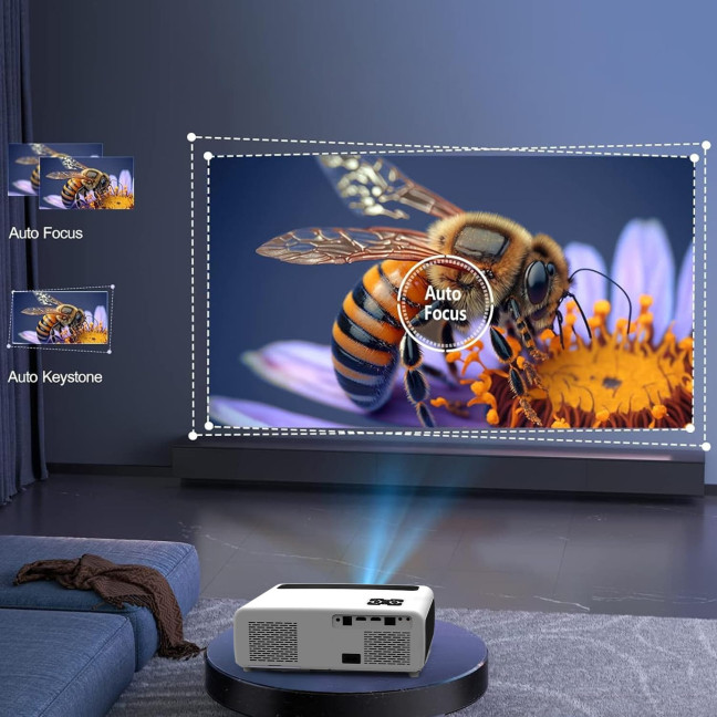 Zenwire e660h projector - an absolute killer in its price class