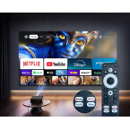 Zenwire E510H projector