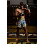 Boxing Sparring Gloves Black and White ARB-407a