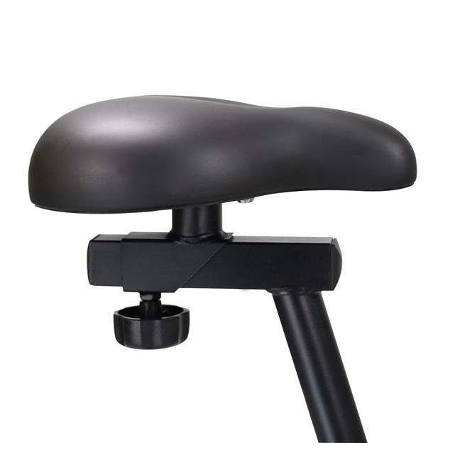 M9239 HMS PLUS magnetic bike